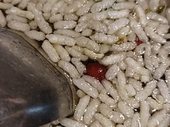 -张关合渣(航空大道店)