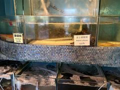 -香港东海海鲜酒家