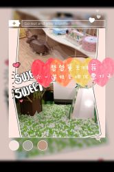 -绿野星空儿童乐园