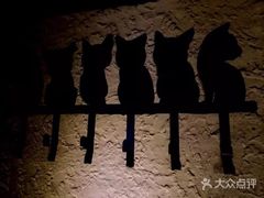 -Sirena海妖日咖夜酒