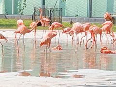 -秦皇岛野生动物园