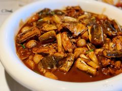 辣烧活鳗林-开海·红岛海鲜虾水饺(八大关店)