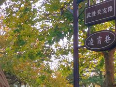 -八大关景区