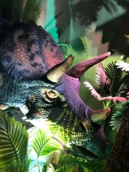 -恐龙探索乐园(磁器口店)