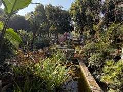 -谷咖啡·鲜花绿植花园餐厅