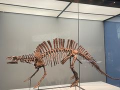 -湖南省地质博物馆