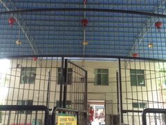 -广东茂名森林公园