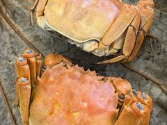 -万龙洲海鲜(阜外店)