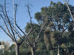 -苏州吴中太湖旅游区