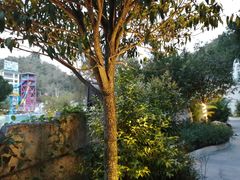 -清泉湾生态旅游度假区