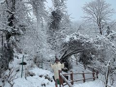 -九峰山