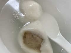 鲜肉汤圆-祥记汤圆(东宝兴路店)