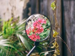 -三亚西岛海洋文化旅游区