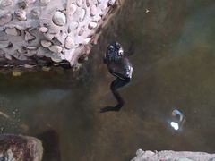 -风波庄(石景山店)