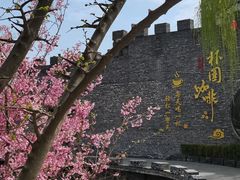 -朴园