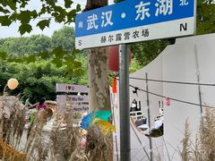 -HERRE·FARM 赫尔露营农场·团建聚会包场