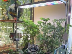 -弗劳尔花艺坊(龙涛店)