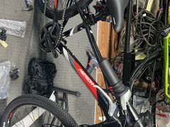 -道路口单车爱瓦士dahon大行