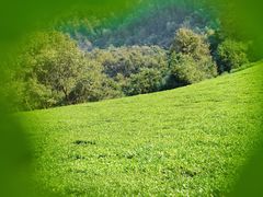 -敬亭山风景名胜区