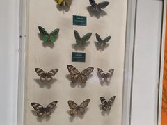 -陕西自然博物馆