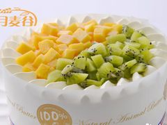 -维尔纳斯·生日蛋糕·动物奶油冰淇淋蛋糕(六里桥店)