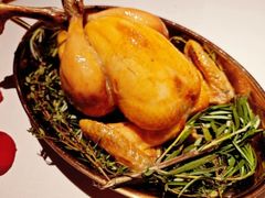 -Oyster Talks 四度蚝法餐厅