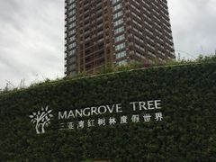 -三亚湾红树林度假世界(木棉酒店)