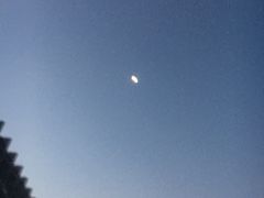 -白日梦奶茶
