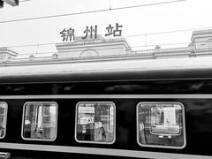 -老万烧烤(典逸心洲店)