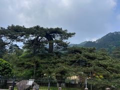 -九华山风景区