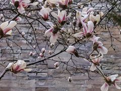 -东华门大街小区