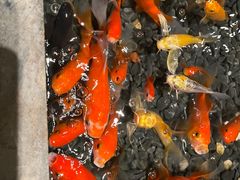 -南堂館川菜文化餐厅(天府店)