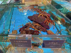 -旺顺阁海鲜广场(亚运村店)