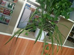 -丽华快餐(红庄国际店)