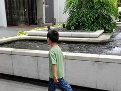 -广州白天鹅宾馆