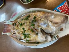 清蒸彩云鲷-聂记粤菜馆(鼓西路店)