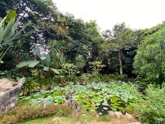 -中国科学院西双版纳热带植物园