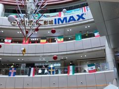 -金逸影城(武汉人信汇IMAX店)