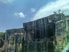 -海南热带野生动植物园