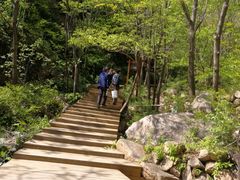 -大岭沟猕猴桃谷风景区