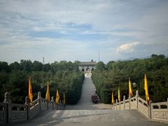 -大槐树寻根祭祖园