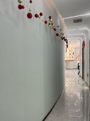 -Lily纤美·科技减脂中心