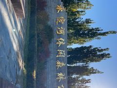 -永定河休闲森林公园