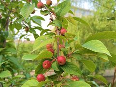 -元大都城垣遗址公园