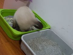 -联合动物医院(光谷诊疗中心)