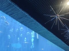 -华夏文旅西安度假区