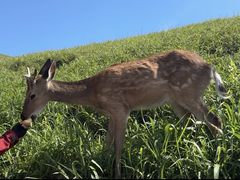 -萍乡武功山风景名胜区