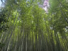 -杭州黄龙洞