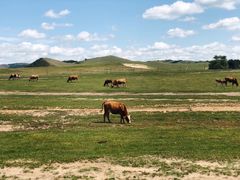 -塞罕坝国家级自然保护区