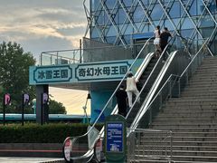 -海合安武汉极地海洋公园